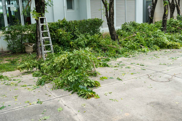 Lawn Watering Services in Bountiful, UT